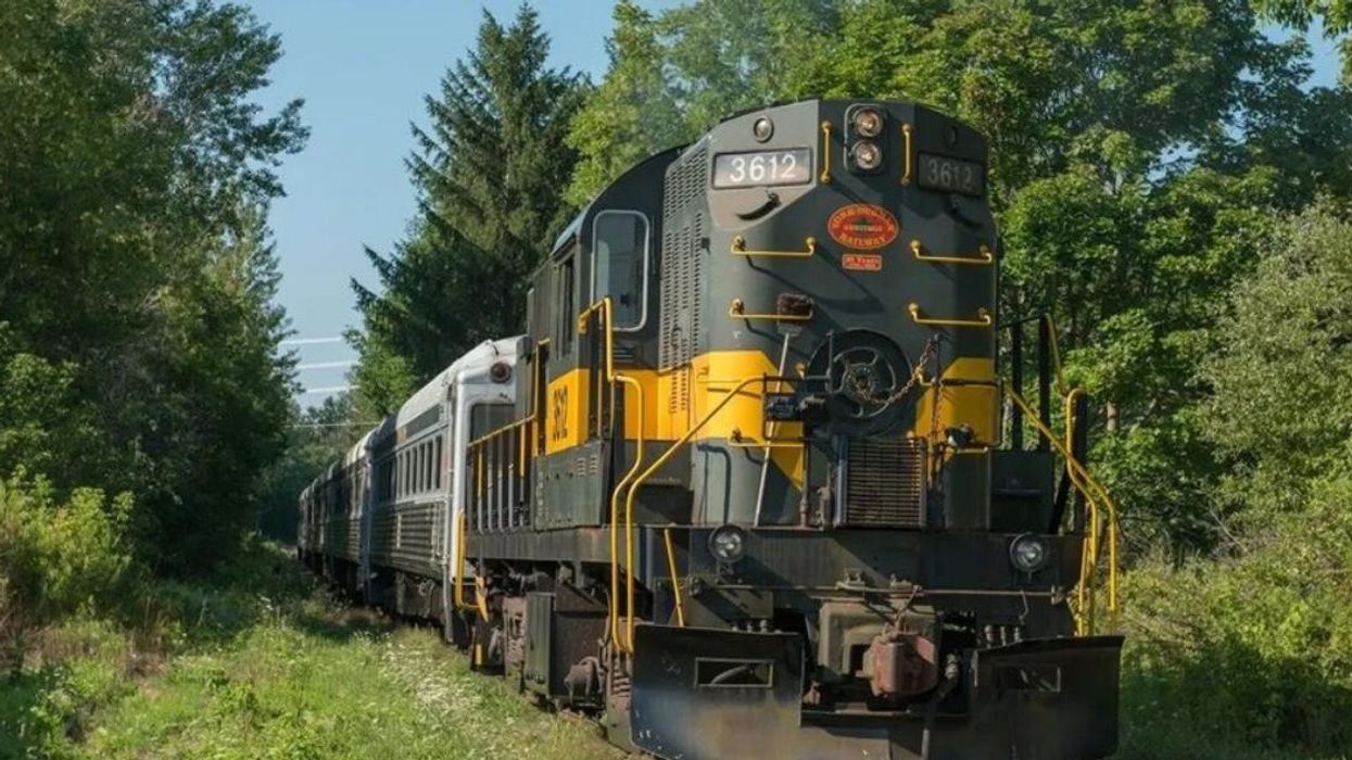 Train driving through some trees.