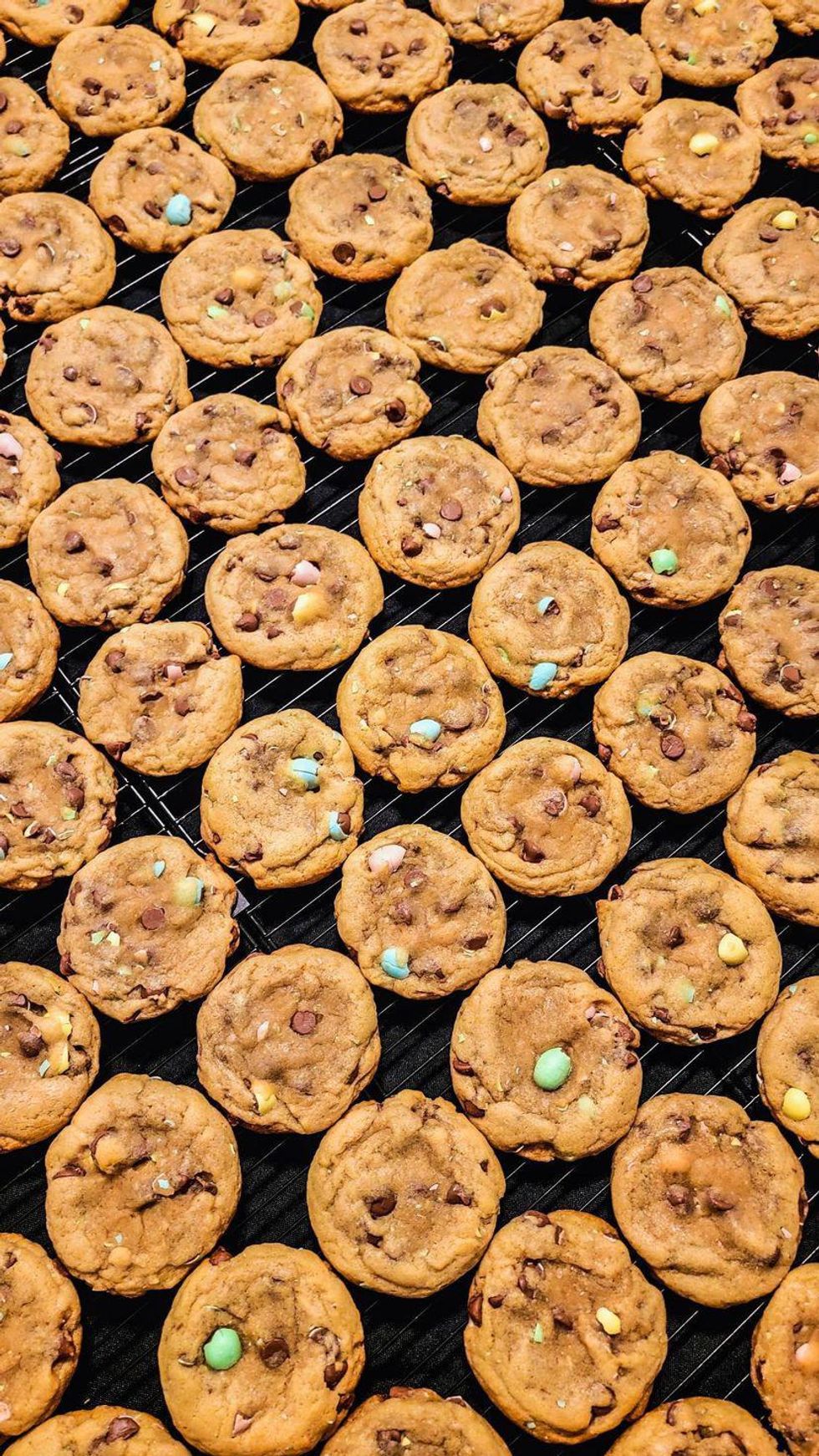 Tray of Mini Egg cookies from Jav's Cookie Co.