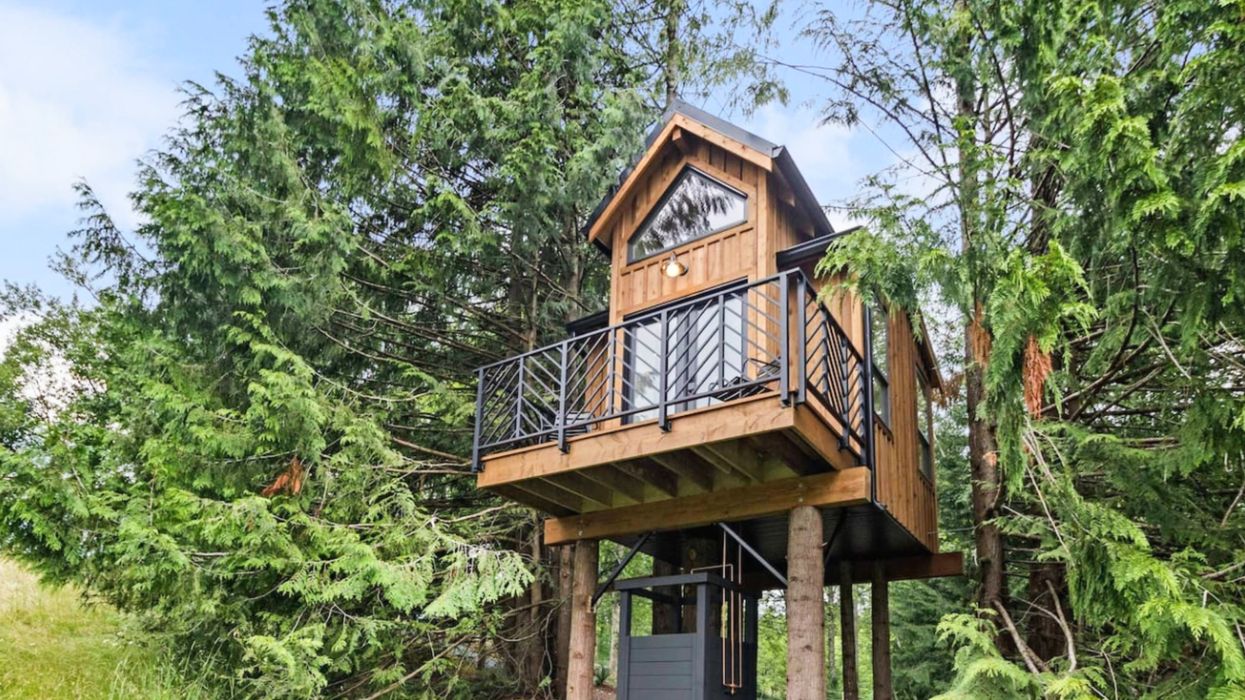 Treehouse Rental Near Vancouver Is Adorable & Cheap To Rent This Fall