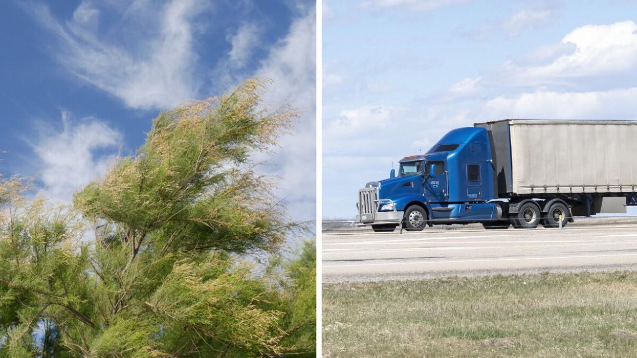 Trees blowing in the wind. Right: A vehicle on the QE2 Highway in Alberta.