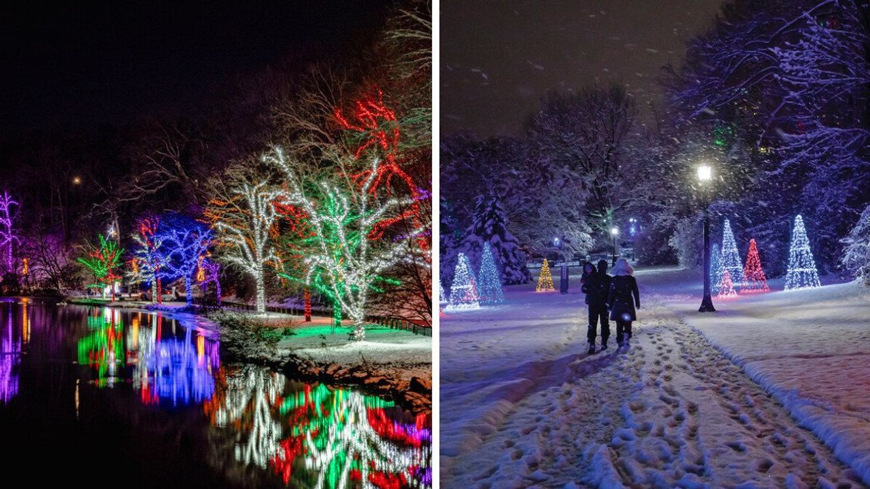 Trees covered in lights. Right: People walking through a winter park with light installations.