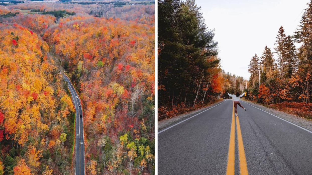 Trees line a road passing through Algonquin Provincial Park in Ontario. Right: A person walks along a road in Quebec.