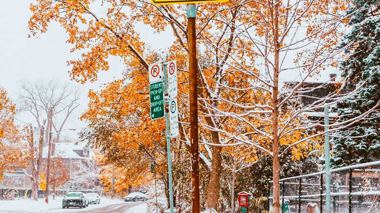 trees with orange leaves covered in snow on toronto street