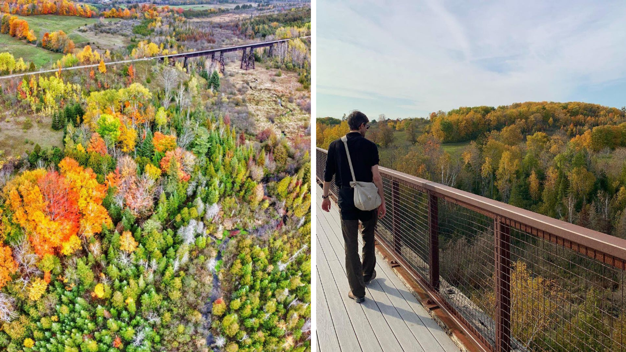Trestle bridge over a valley of trees. Right: Man walking over fall trees on an old railway bridge.