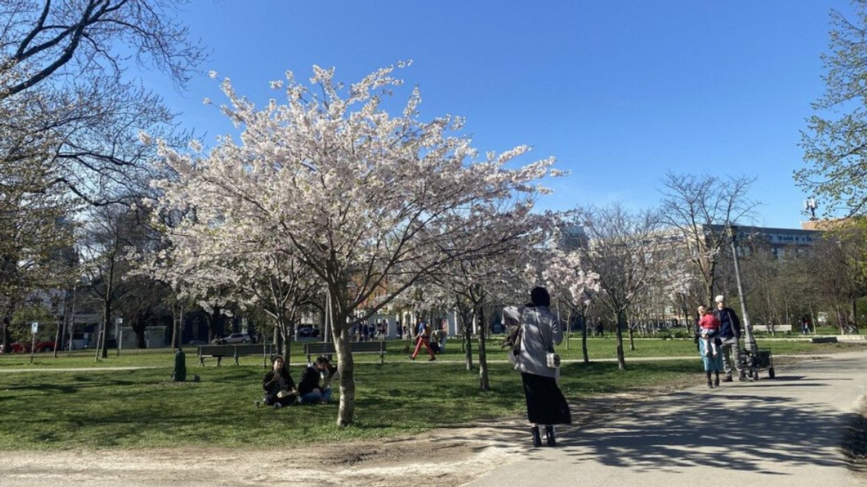 Trinity Bellwoods Park in the spring.
