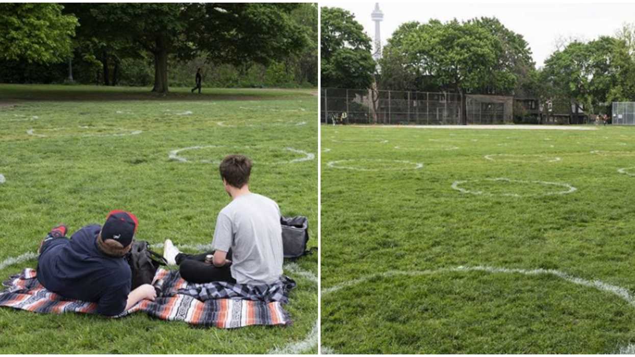 Trinity Bellwoods Park Was Unrecognizable This Weekend With Tons Of Empty Circles