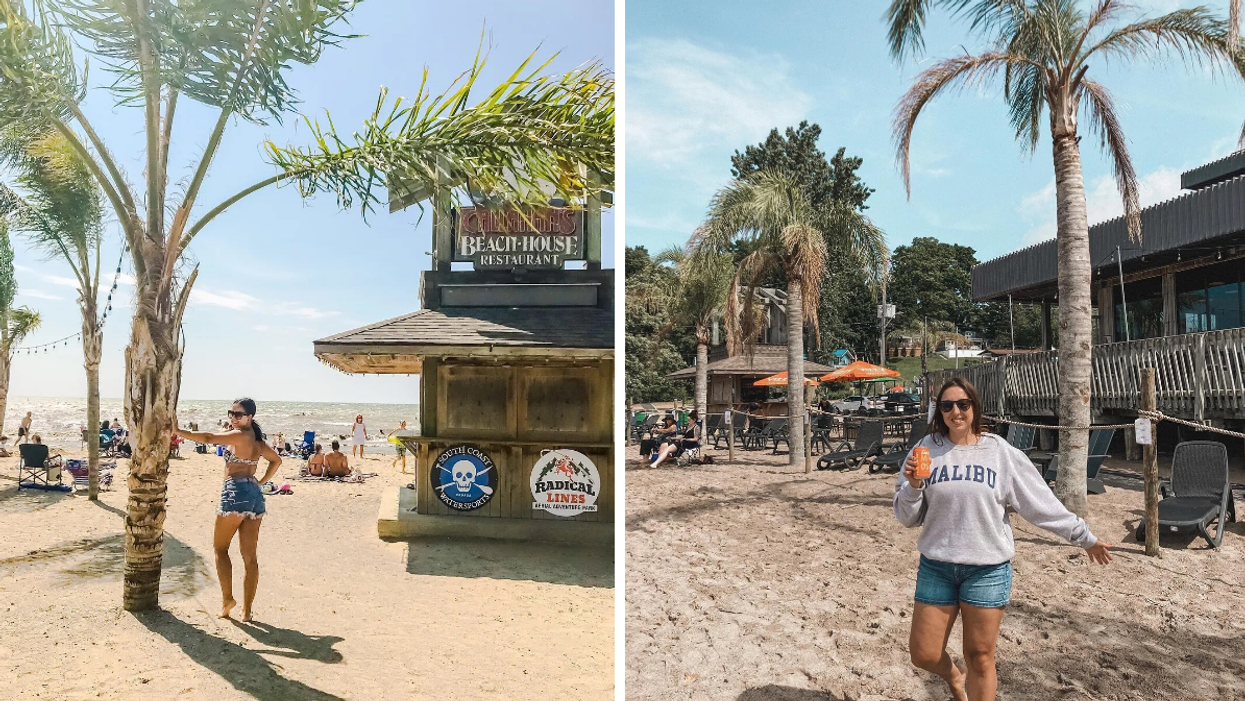 Tropical palm trees outside of The Beach House restaurant in Port Dover.