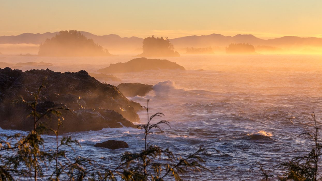 Tsunami Warning In BC Went Out & Was Immediately Taken Back But The Damage Was Done