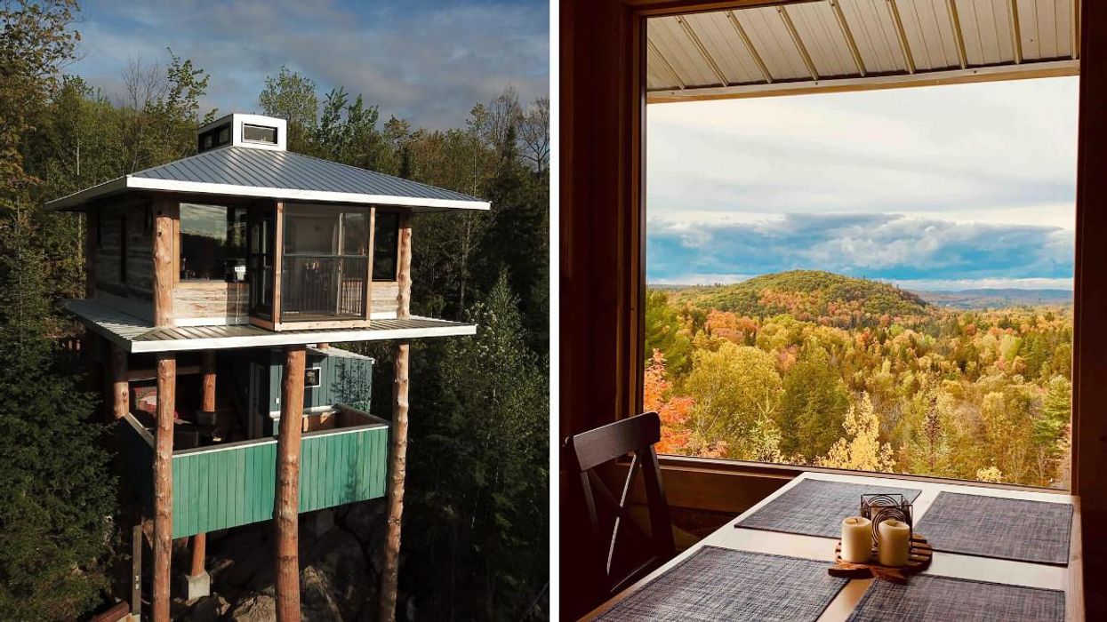 Tu peux louer cette cabane dans les arbres à 2h30 de Montréal pour une escapade à deux