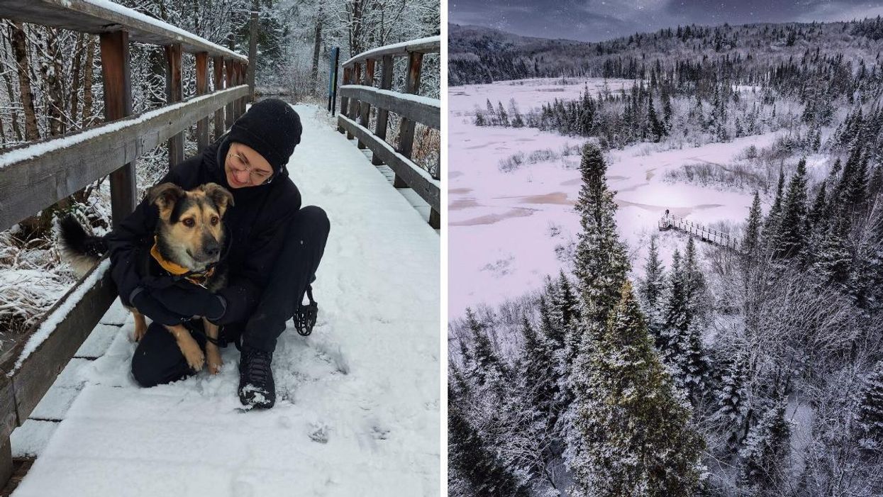 Tu peux t'évader dans un décor hivernal enchanteur sur ces passerelles près de Québec