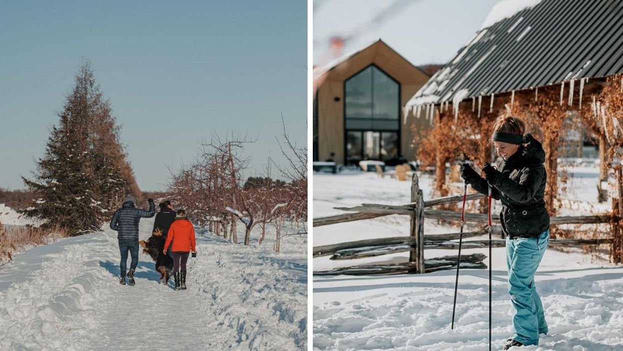 Tu peux te balader dans ce verger tout blanc près de Laval et c'est gratuit