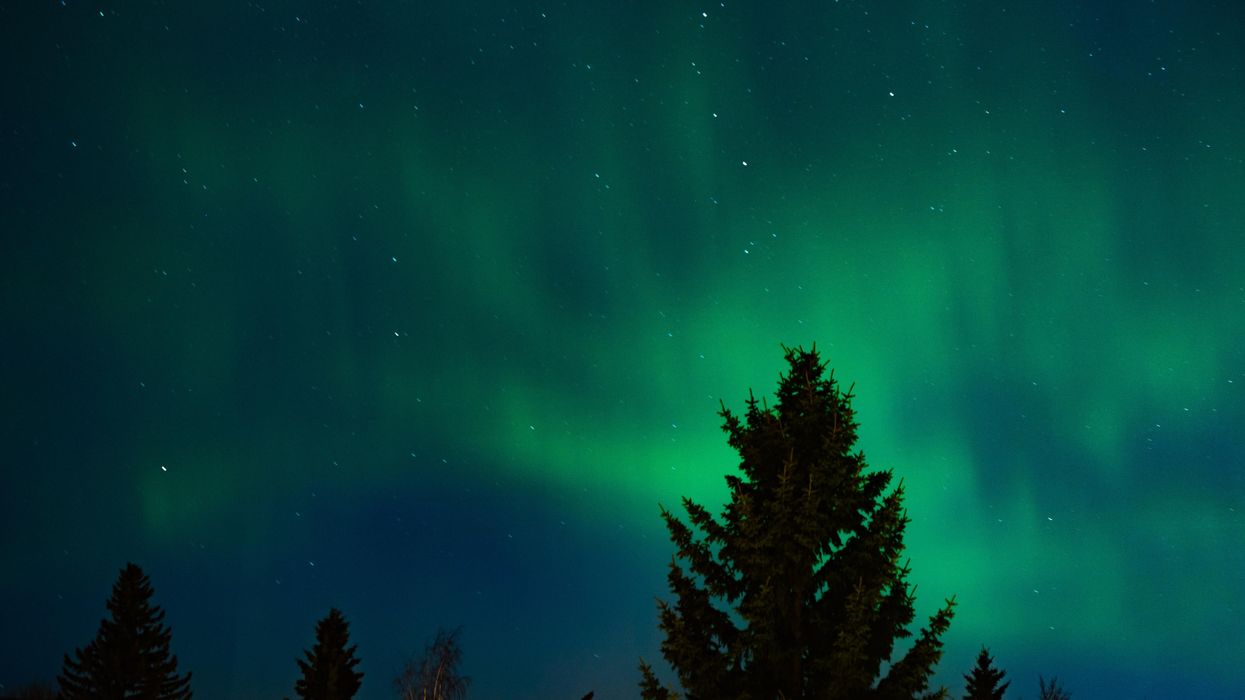 Tu pourrais apercevoir des aurores boréales scintiller au-dessus du Québec ce week-end