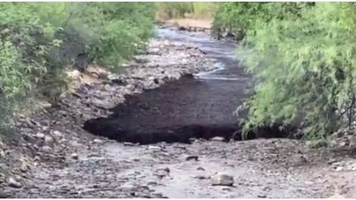 Tucson Post-Fire Debris Flow Looks Like A Black Sludgy Stream (VIDEO)