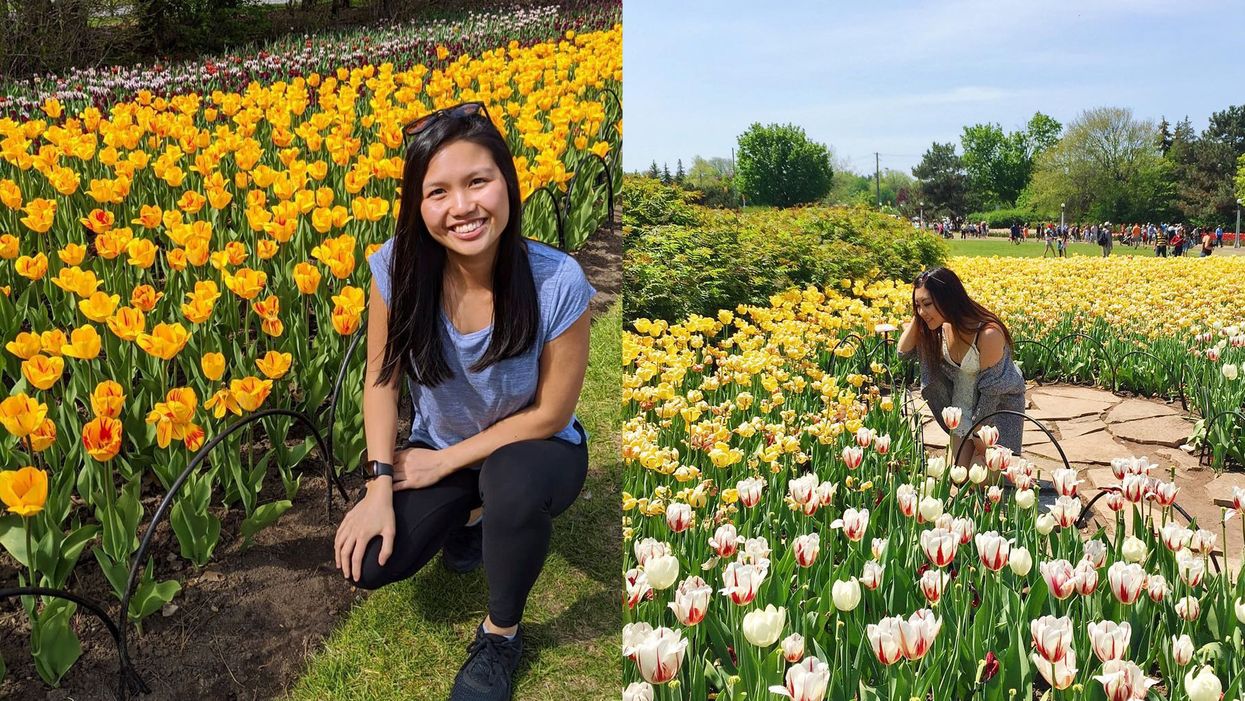 Tulip Festival In Ottawa Is Returning With 300,000 Flowers But It Will Be Very Different