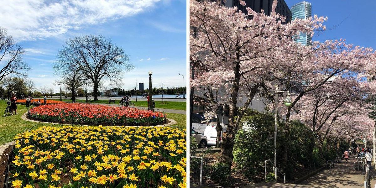 7 Places To See Spring Bloom In Canada If You Want To Escape Into A ...