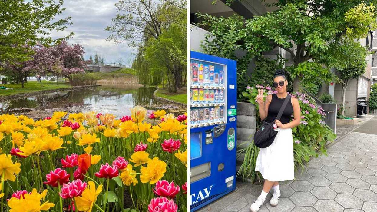 Tulips in bloom beside a pond in Ottawa, with trees and a bridge in the background, Right: Woman posing outdoors for a photo.