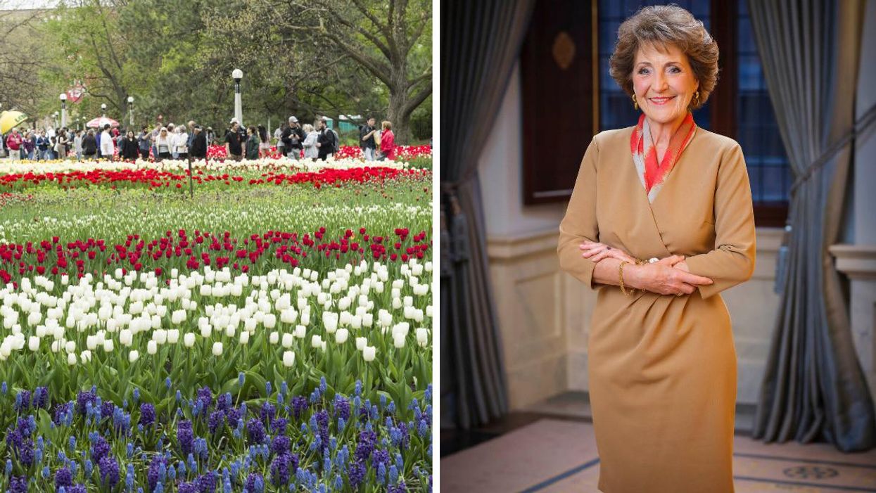 Tulips in Ottawa. Right: Princess Margriet.