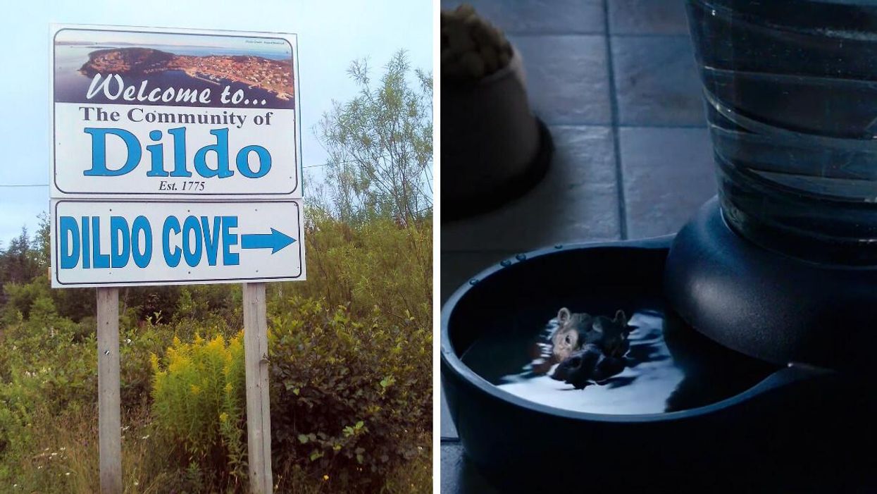 Twitter Users Are Revealing Everything They 'Blame Canada' For & The Answers Are Perfect