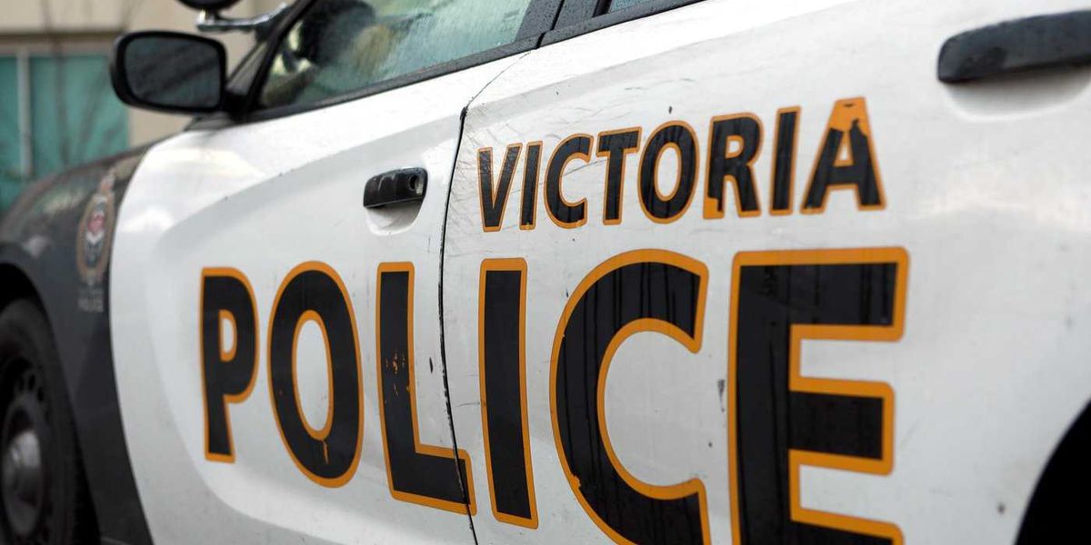 Victoria police arrest two following incident that injured three people in park Victoria police arrest two following incident that injured three people in park