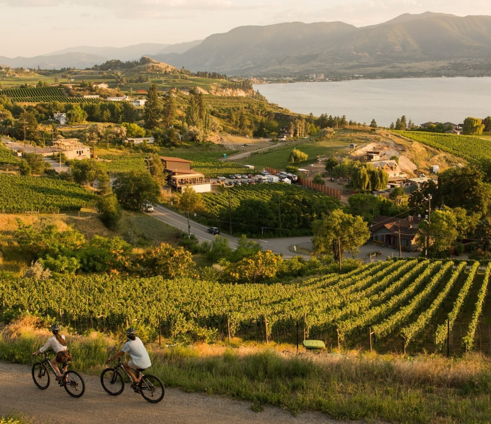 Two cyclist ride on a path alongside vineyards, lake and mountains in B.C.