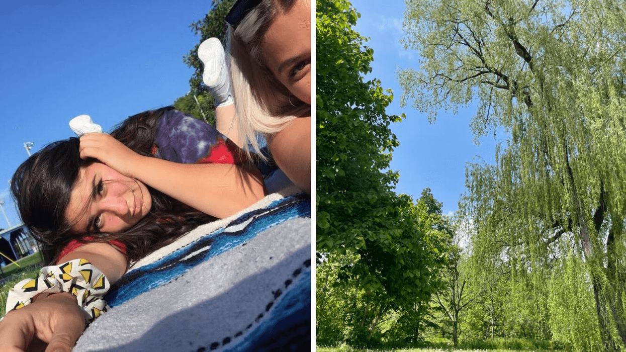 Two friends on a blanket in Toronto park. Right: Landscaping