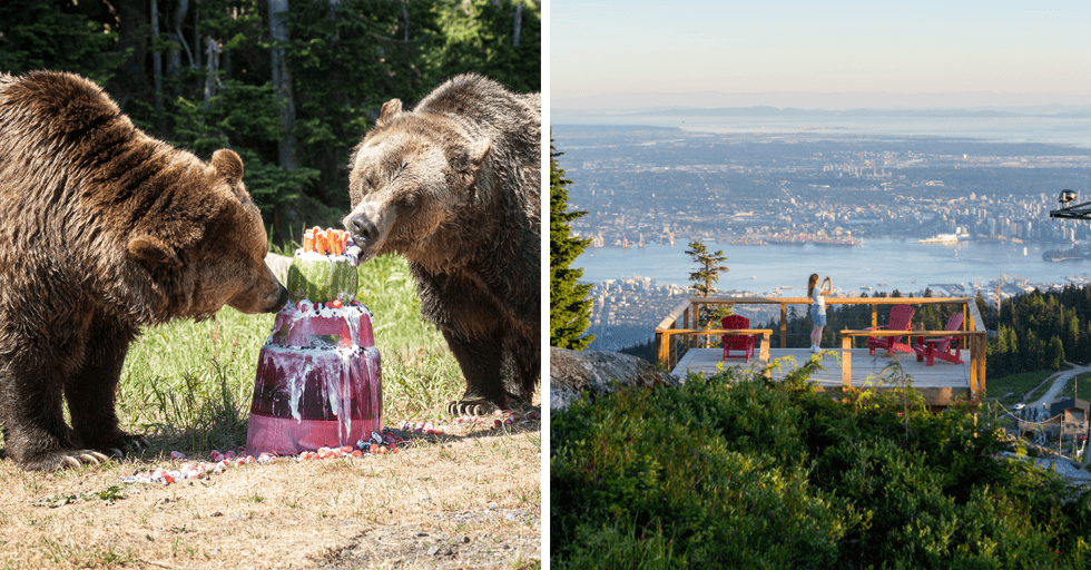 Grouse Mountain 100周年庆典最后一天：无人机秀、现场音乐、免费入场