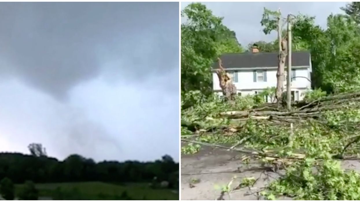 Two Ontario Tornadoes Destroyed Trees And Knocked Out Power Last Night (VIDEOS)
