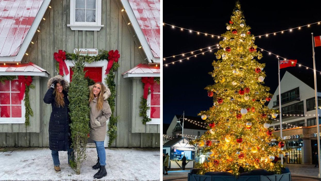 Two people standing by a Christmas tree. Right: A Christmas tree.