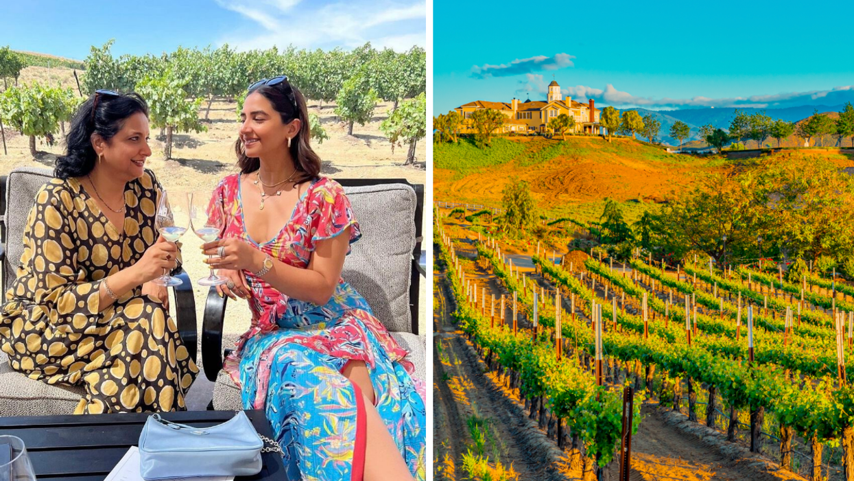 Two women holding wine glasses in Temecula, CA. Right: A vineyard in Temecula, CA.