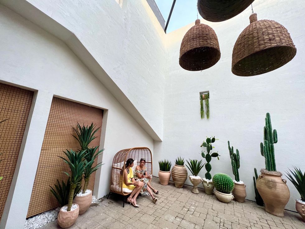 Two women sitting outside by pots of cacti.