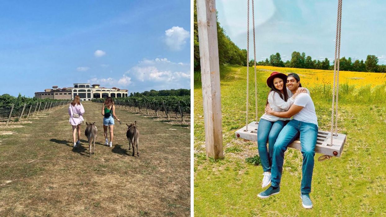 Two women walking through a vineyard with donkeys. Right: A man and woman sitting on a swing by flowers.