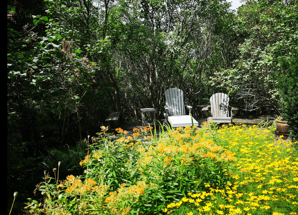 Two wood chairs amidst flowers and forest