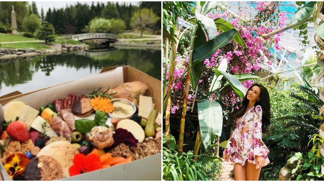 U of A Botanic Garden's After-Hours Picnic Is The Most Enchanting Date Night