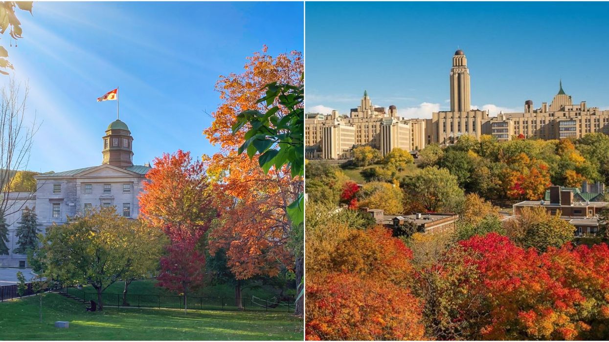 U.S. News : UdeM et McGill font partie du top 6 des meilleures universités au pays