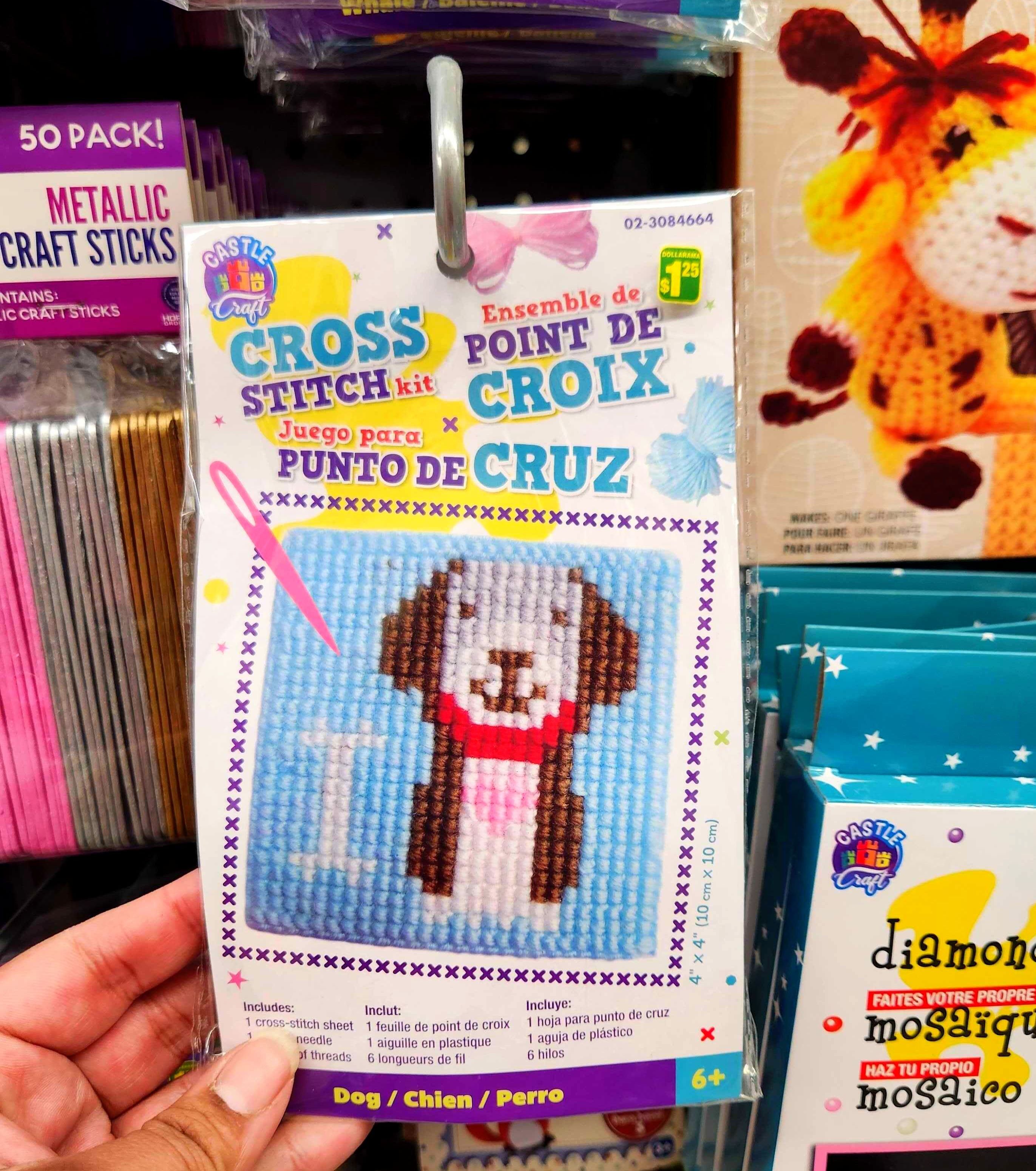 \u200bA cross stitch kit from Dollarama.