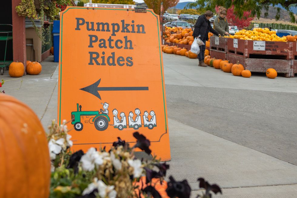 \u200bA sign for pumpkin patch rides at Davison Orchards.
