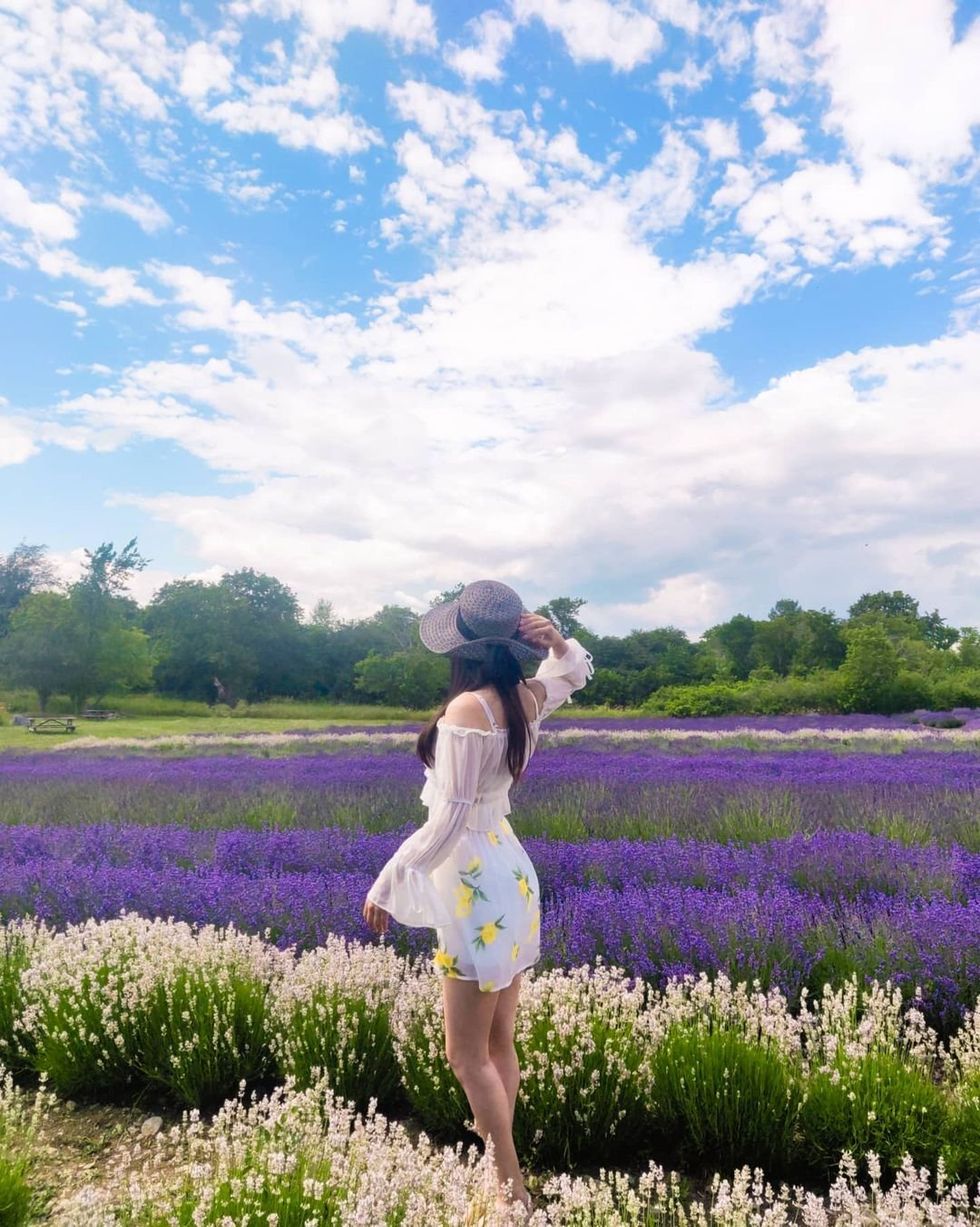 \u200bA woman stands in a lavender farm in Prince Edward County.