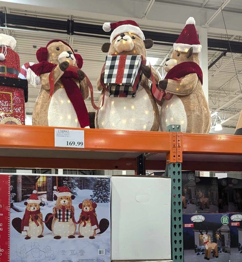 \u200bCastors avec bo\u00eete-cadeau - Ensemble de 3.