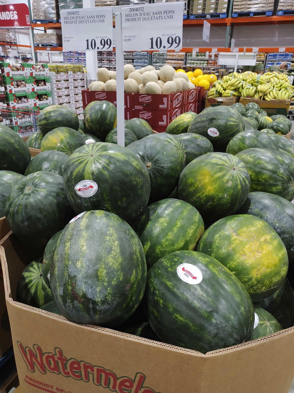 \u200bD'\u00e9normes melons d'eau.
