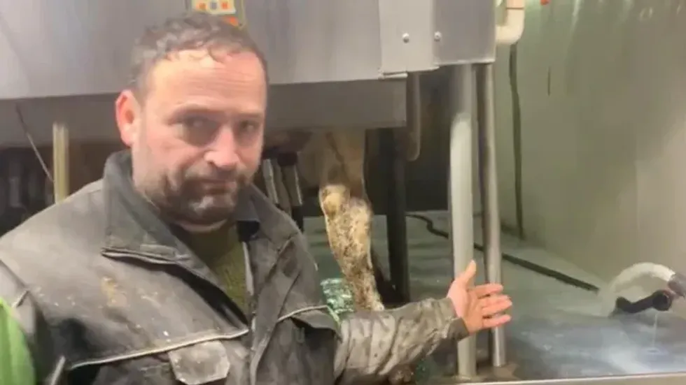 \u200bDairy farmer Jerry Huigen gesturing to milk being poured down the drain.