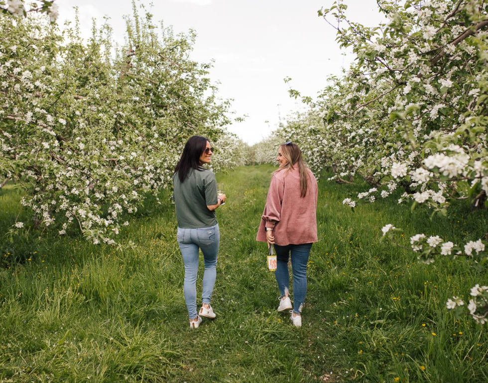 \u200bDomaine Lafrance : pommiers en fleurs