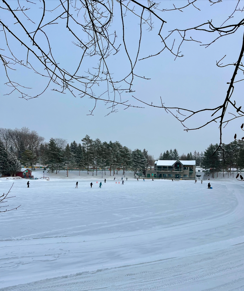 \u200bLa patinoire au Centre de la nature.