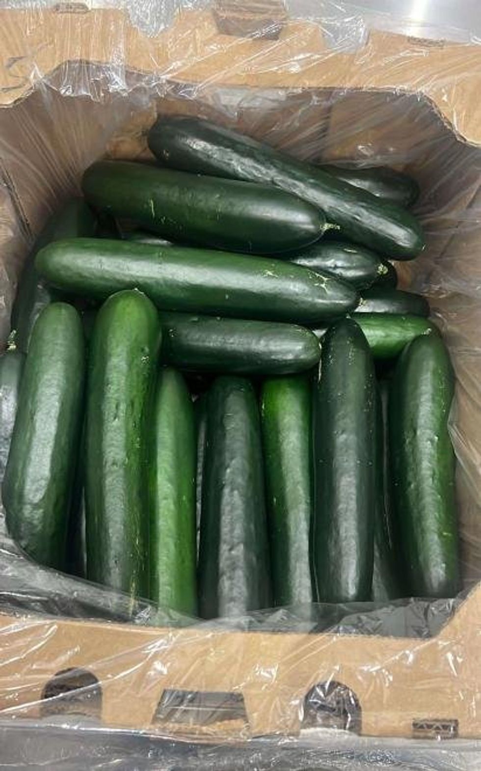 \u200bPamela cucumbers.