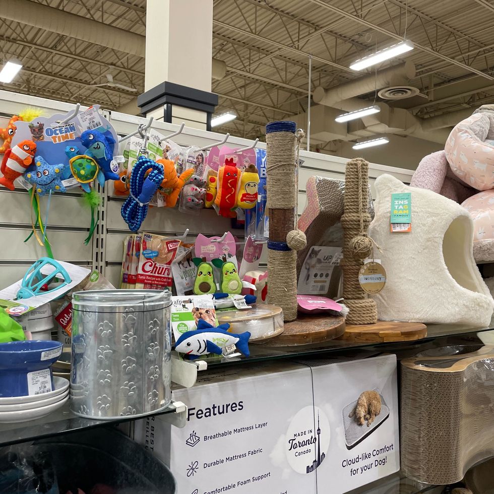 \u200bPet supplies at HomeSense.