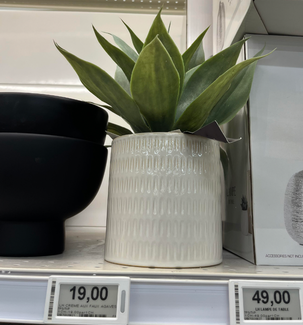 \u200bPlante d'agave artificielle de chez Maxi & Cie.