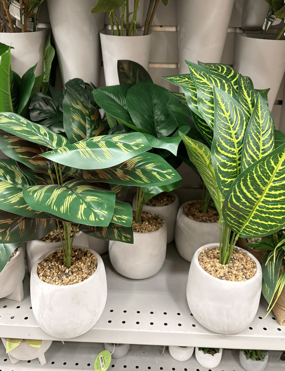 \u200bPlantes artificielles sur les tablettes du au Dollarama.