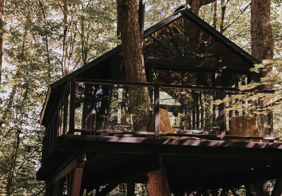 \u200bSafari dans les arbres \u00e0 Tingwick.