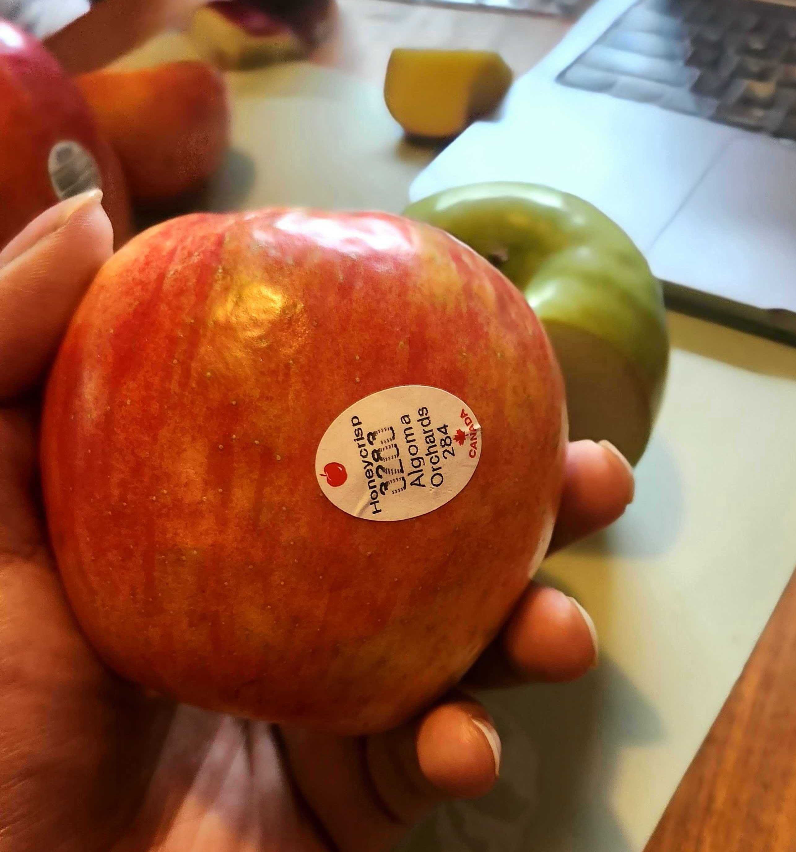 \u200bSarah holding a Honeycrisp apple from Walmart.