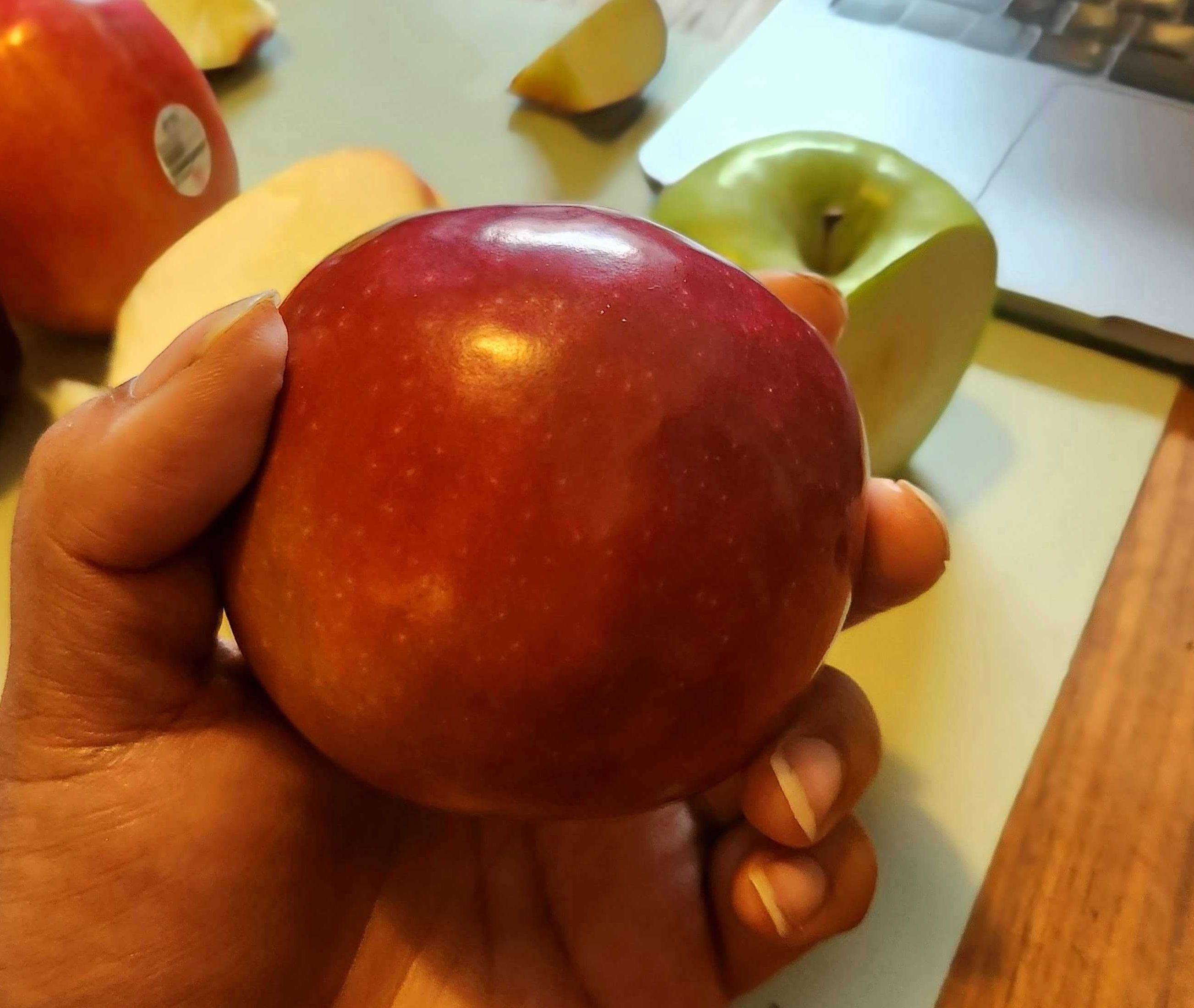 \u200bSarah holding a McIntosh apple from Walmart.