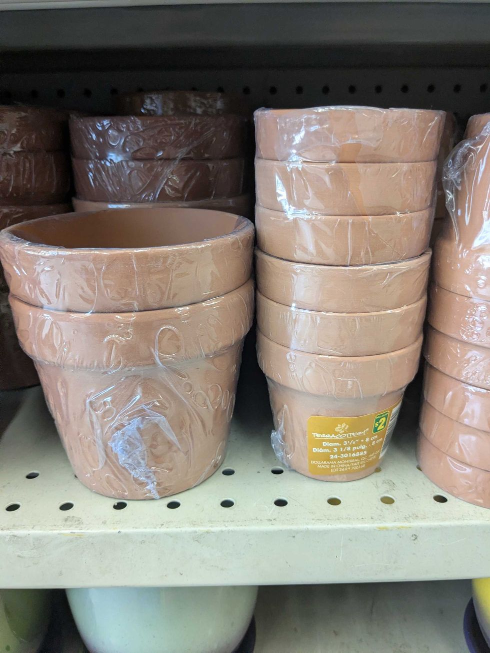 \u200bTerracotta pots on a shelf at Dollarama